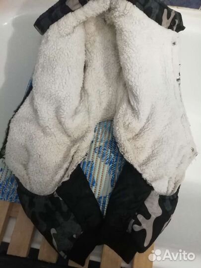 Корм, комбезы, лежанка, лососевое масло для собак