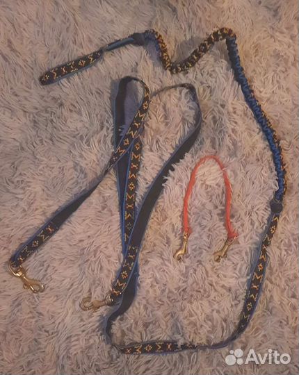 Амуниция для собак