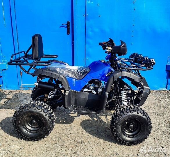 Квадроцикл grizzly 110