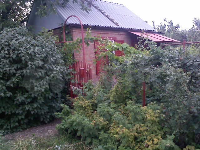Дачи в таганроге с фото