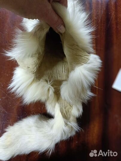 Шкурка песца целиковая