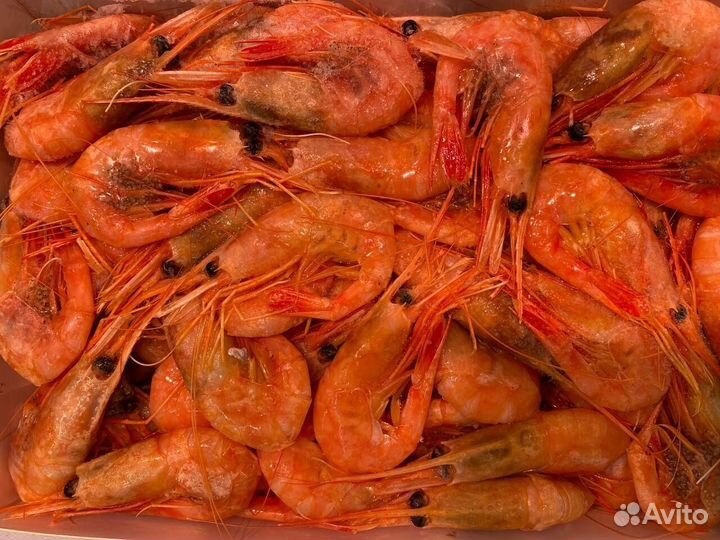 Креветка северная. Свежемороженая оптом