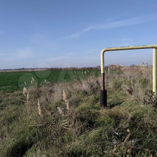 Участок 67 сот. (СНТ, ДНП)