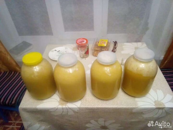 Мёд с личной пасеки