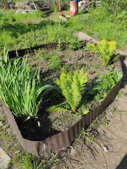 Участок 9,96 га (СНТ, ДНП)