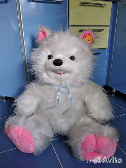 Белый медведь