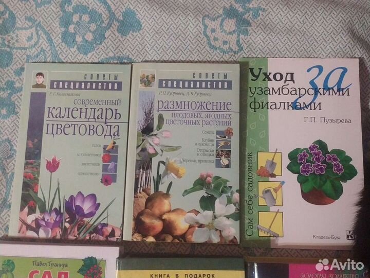 Книги