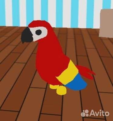 Продается Fr попугай