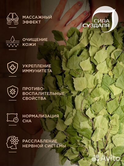 Березовые веники