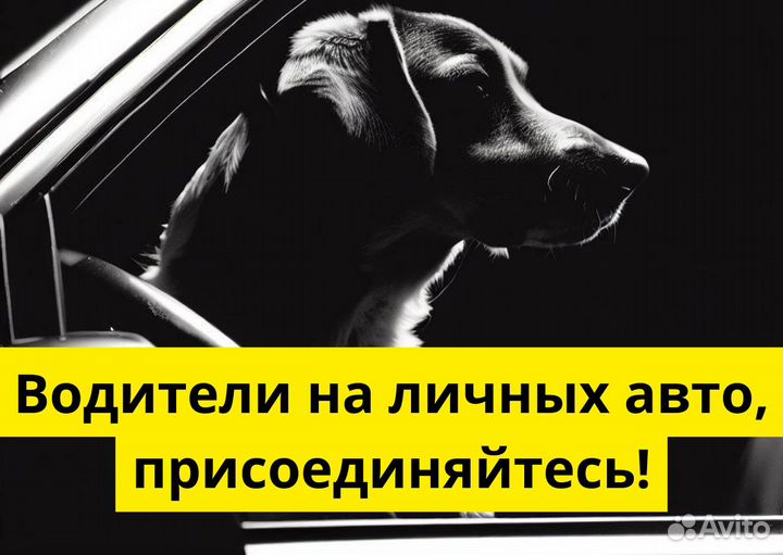 Подключай свой автомобиль к Яндекс Go