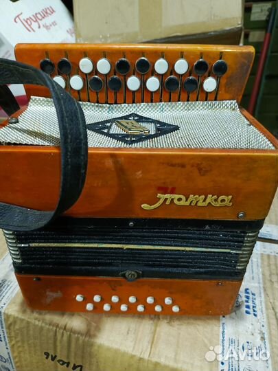Гармонь детская