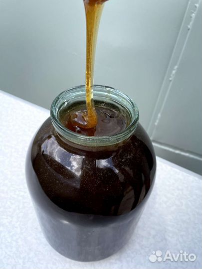 Мед свежий гречишный