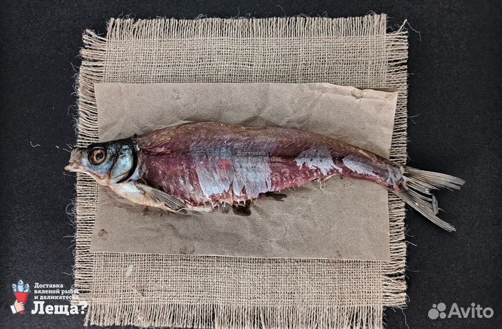 Чехонь рыба