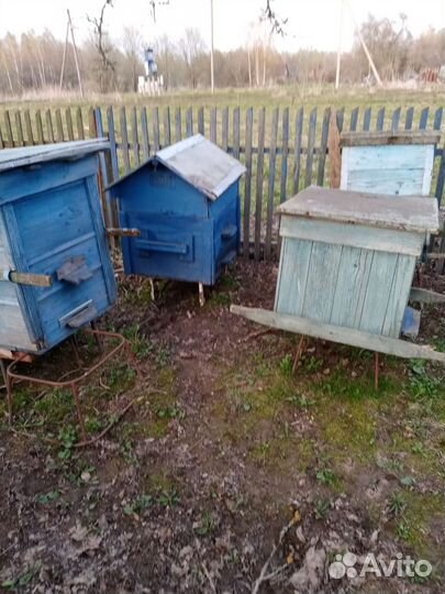 Пчелиные домики