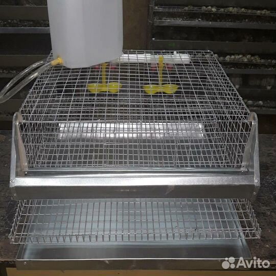 Клетки