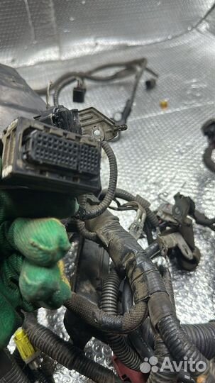 Жгут проводов капота Toyota Camry XV70, 2019