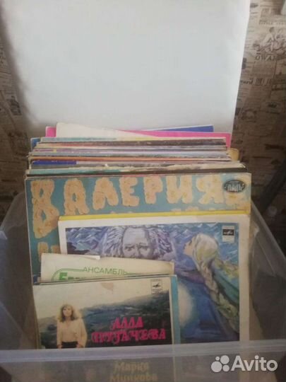 Виниловые пластинки