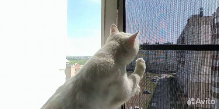 Москитная сетка антимошка