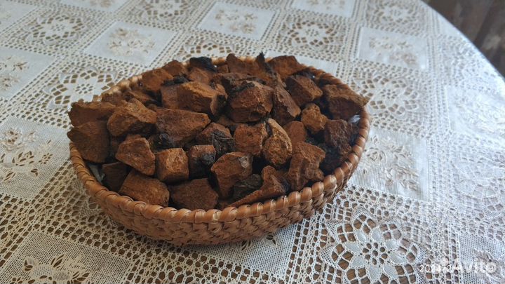 Чага продам