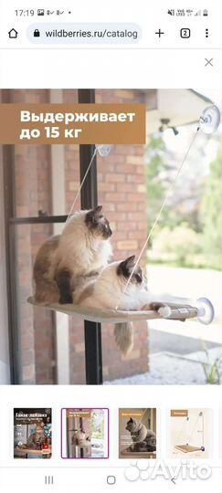 Новый гамак для кошки
