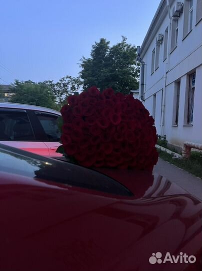 Доставка роз