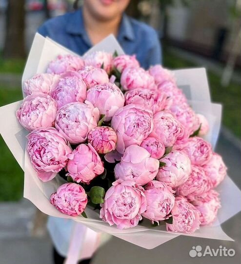 Пионы Букеты Цветы Доставка