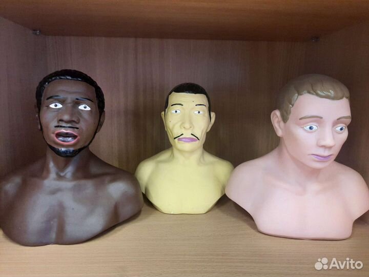 Муляж антропологический