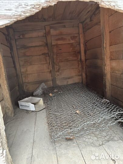 Собачья будка