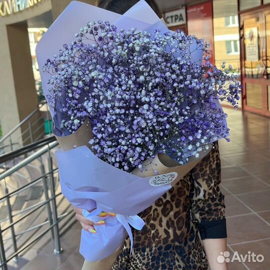 Букет гипсафил