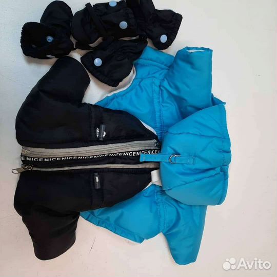 Одежда для собак мелких пород