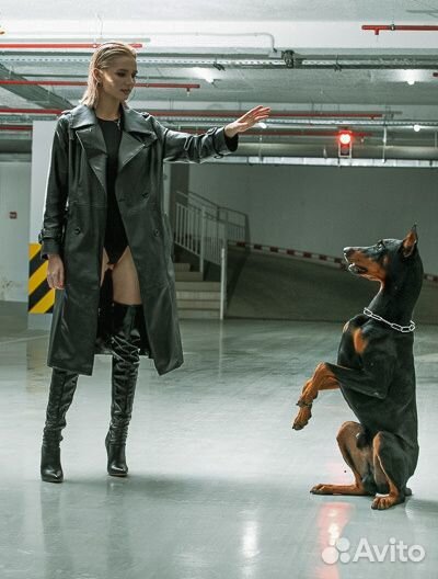 Фотосессия с доберманом