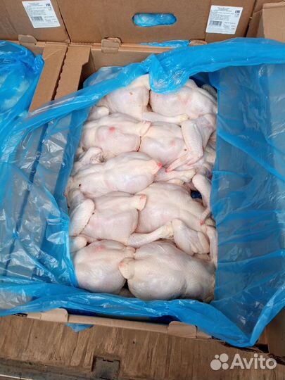 Мясо птицы цыпленок бройлер