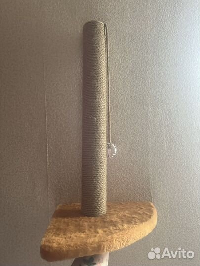 Когтеточка