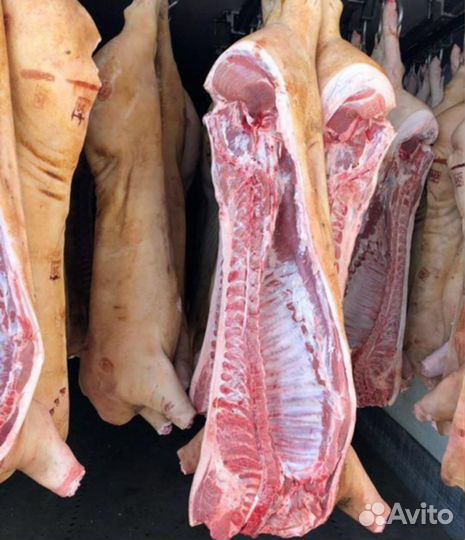 Мясо свинины домашнее