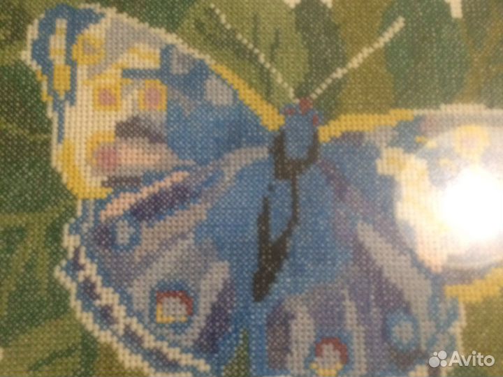 Бабочка. Вышевка