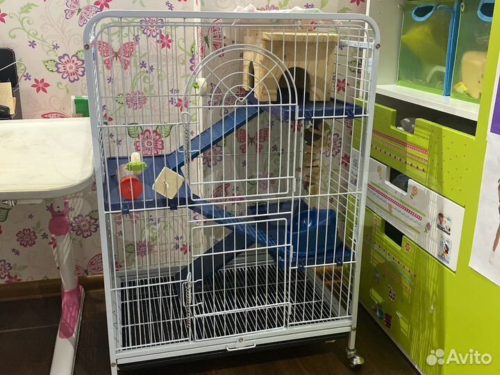 Товары для животных