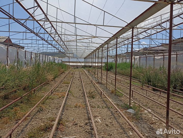 Теплица (каркас) 38х16