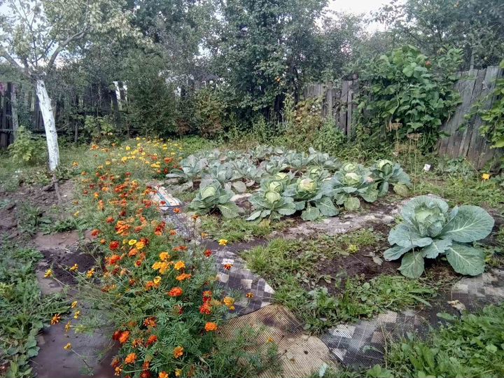 Дача 30 м² на участке 8 сот.