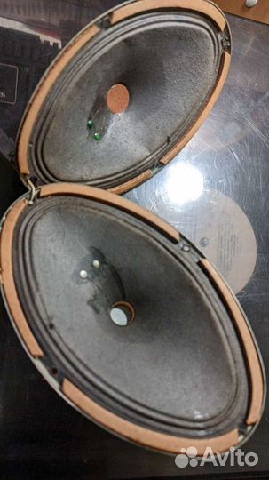 Динамики 1гд-18 и 6гдш-3, Вега 25ас-2