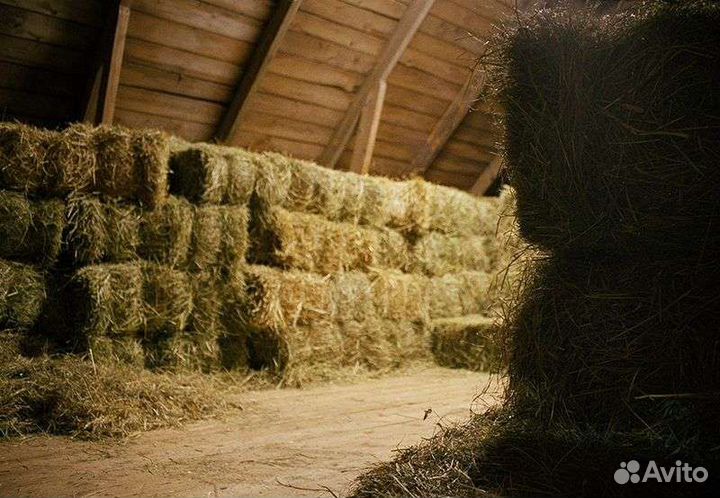Сено в тюках