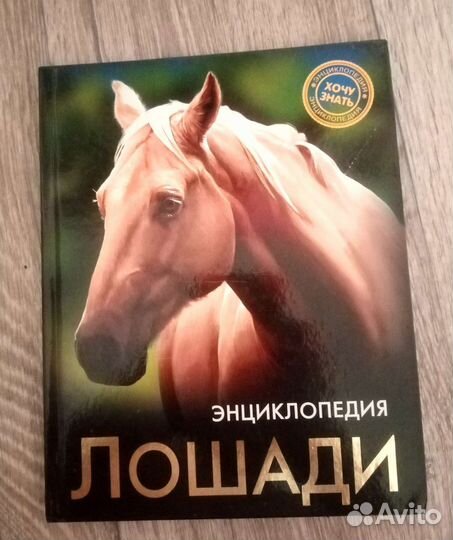 Энциклопедия