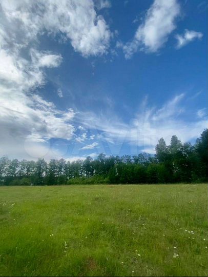 Участок 12 сот. (СНТ, ДНП)