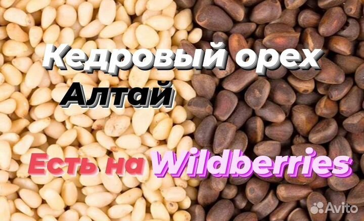 Кедровый орех очищенный, ядро и в скорлупе с Алтая