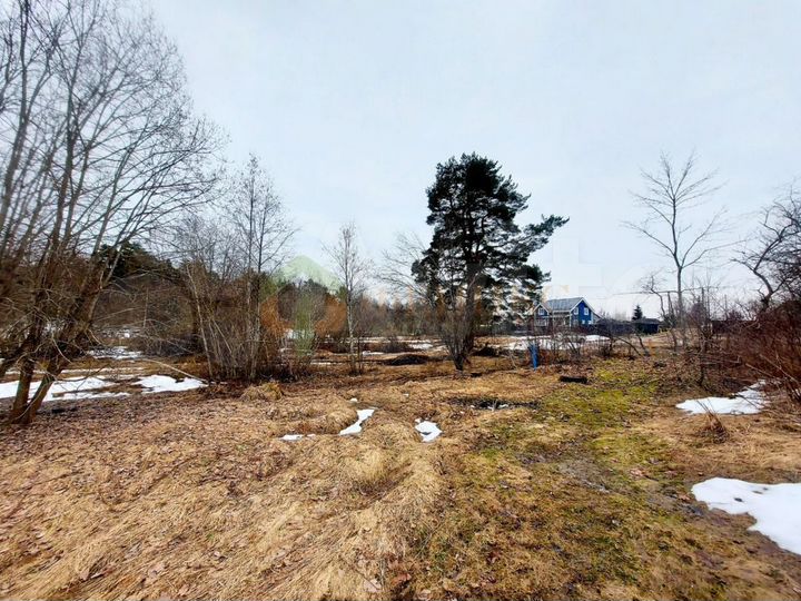 Участок 14,5 сот. (ИЖС)