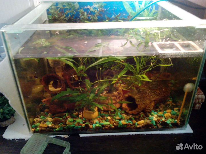 Аквариум