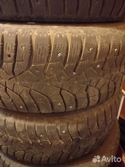 Bridgestone Blizzak DM-V1 205/55 R16