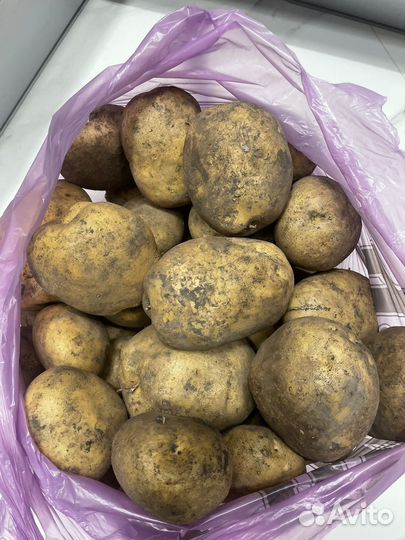 Картофель на еду