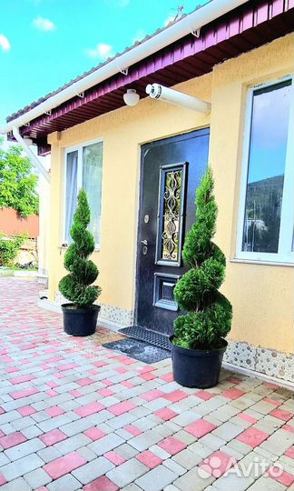 Туя западная смарагд