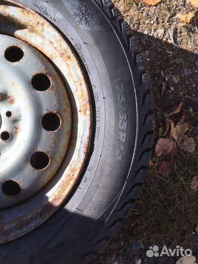 КАМА 505 Irbis 175/65 R14