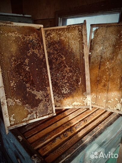 Рамки сушь, рамки с мёдом